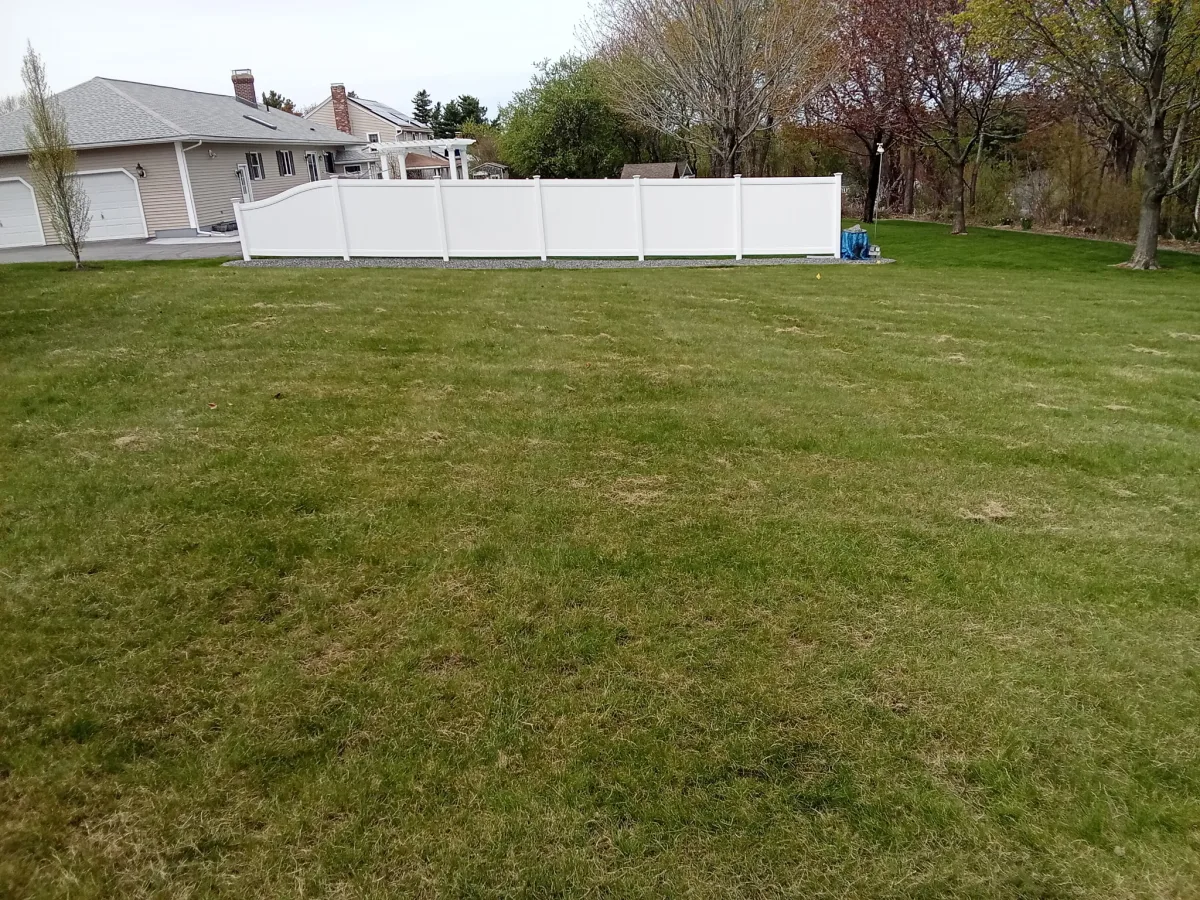 Finished backyard lawn after slicing and seeding work